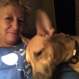 Fun Dogs and Cats Sitter located in Brenham but will travel.