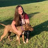 My name is Ashley, I love all animals and I'm willing and ready to take care of yours.