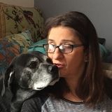 Most Careful House Sitter in Ponte Vedra Beach