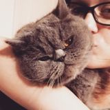 Pet owner, lover of all animals!