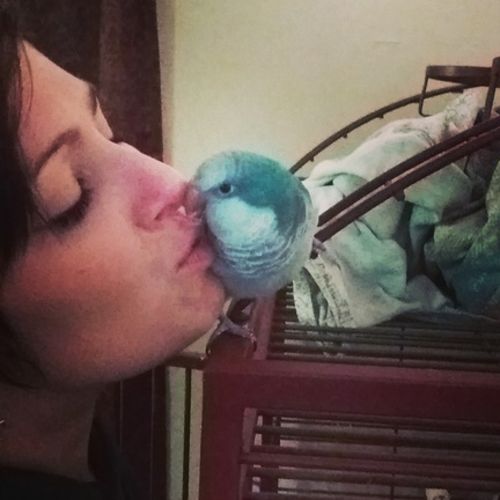 Pet Care Provider Brandis C's Profile Picture