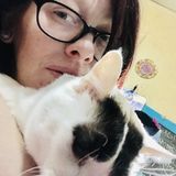 expierienced with all kinds of animal care,including dogs, cats, snakes, fish, birds, ferrets, small rodents, Guinea pigs etc