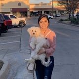 Looking For a Dog/Cat Sitter Opportunity in Dallas, Tx.