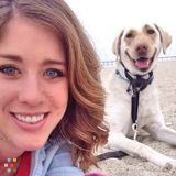 2 Week Pet Sitter Needed