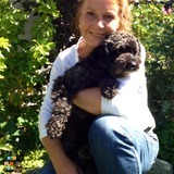 24/7 Home Away Dog Daycare And Vacation