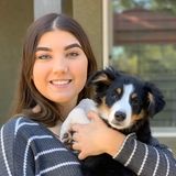 For Hire: Reliable Pet Sitter in Anthem, Arizona