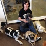 Dog Whisperer Is My Nickname