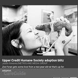 Pet Care Provider in Milton, Ontario