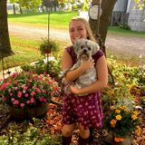 Clean, Responsible Housesitter/ Housekeeper