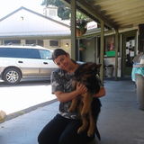 Most Passionate and Experienced animal lover in Antelope