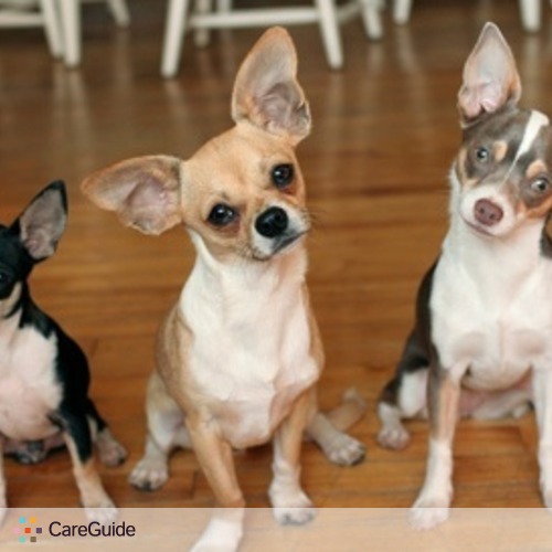 Pet Care Provider F H's Profile Picture