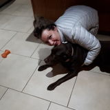 Waterdown Pet Supervisor Seeking Work
