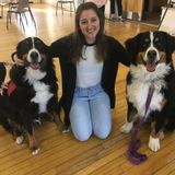 Experienced Pet Sitter/ Dog Walker!