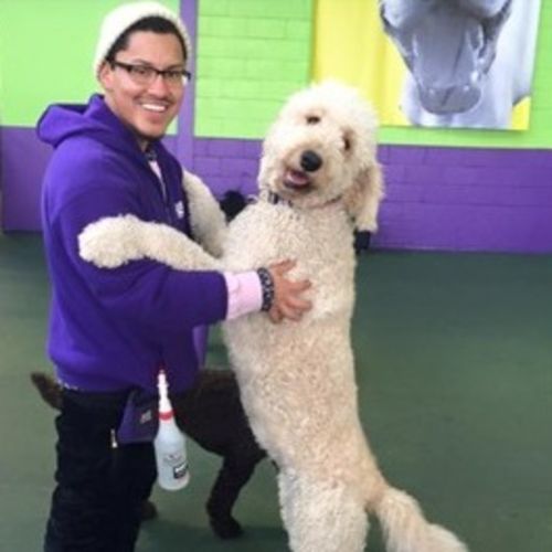 Pet Care Provider Edward M's Profile Picture