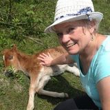 Pet Sitter