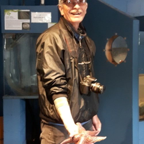 House Sitter Provider John M's Profile Picture