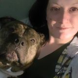 Available: Flexible Pet Care Provider in Milwaukie, Oregon. Friendly, patient and loving.
