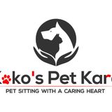 Professional dog walker pet sitter for hire