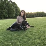 Seasoned Pet Sitter for Your Home