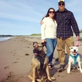 Animal lover looking to meet new pet friends and help out their humans!