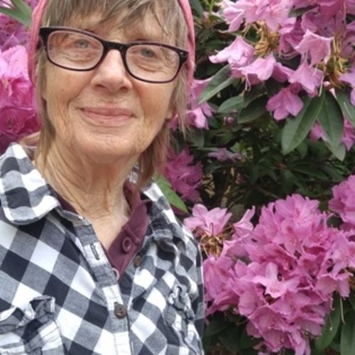 House Sitter Provider Dorothea Rodda's Profile Picture