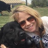 Dog Walker Searching for Being Hired
