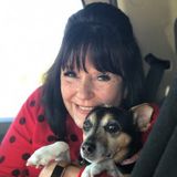 Interviewing For a Pet Trainer Job in Katy