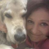 Overnight pet sitting and dog walking