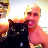 Searching for Burke CAT Sitter Jobs