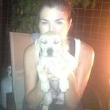 Dedicated Pet Sitting Available Now!
