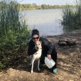 Available: Honest Dog Sitting Professional in Avondale, Arizona