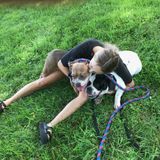 Vernon Hills Pet Service Provider Interested In Work in Illinois