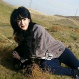 Available For a Cat Sitting Professional Job in Lathrop, California