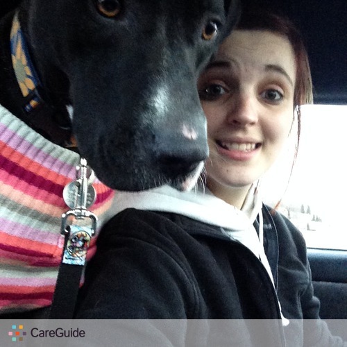 Pet Care Provider Kara D's Profile Picture