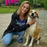 I have experience in house sitting, babysitting, dog walking, farm animals and I do light cleaning.