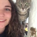 Great Pet Service Provider for Hire