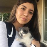 Seeking a Pet Supervisor Job in North Hills