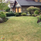 Cutting Edge Lawn and Garden