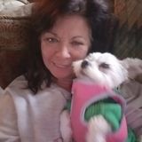 Let your pets stay home