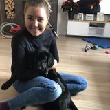 Interested In a Pet Care Provider Job in Banff