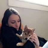 Pet sitter in Greenwood