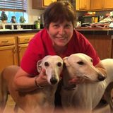 Where Pets Are Family