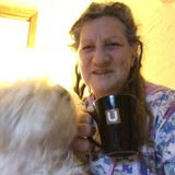 Seeking a House and Pet Sitter Job in North Providence, Rhode Island