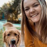 Great Pet Care Provider for Your Home