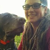 Professional Pet Sitting Available Now!