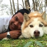 Pet Sitter