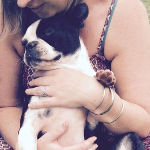 Pet Care Provider Tracy B's Profile Picture