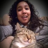 Cat Sitter needed in Oregon City