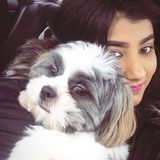 Markham, Ontario Dog Walker