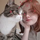 Loving & Flexible Pet Sitter Available For Work in New York